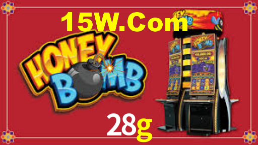 VIP Casino 28g